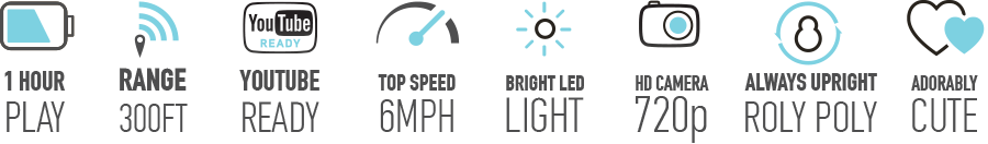 Ziphius icons - highlights
